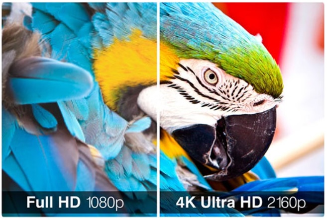 NoMobi Trex 65 inch Full HD - 4K Ultra HD display resolution totem