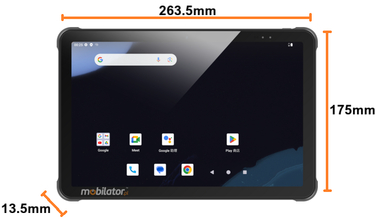 CHAINWAY P100 tablet resistant to sub-zero temperatures