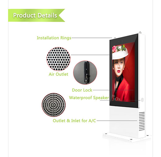 NoMobi Trex 43 inch product details totem