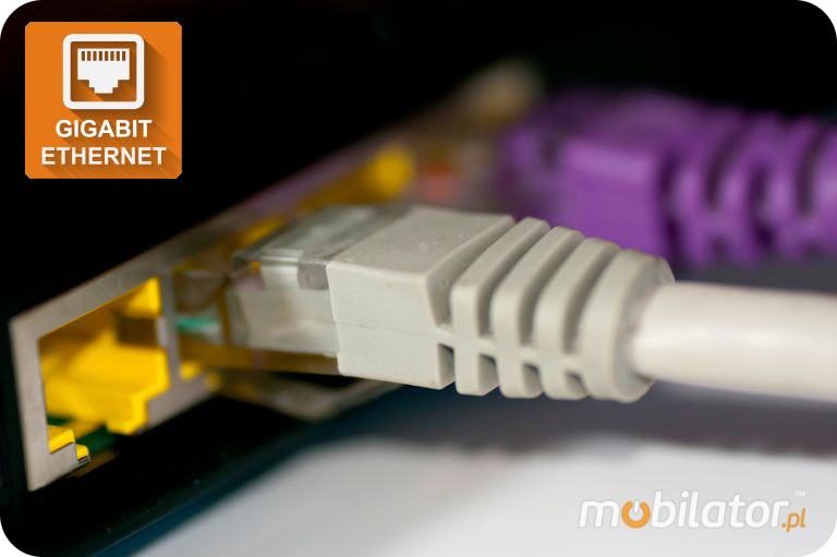Speed in Gigabit Ethernet transmits Q838GE Realtek network card