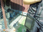 Industrial Tablet i-Mobile IC-8 v.2 - photo 101