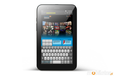 Data collector MobiPad M-B1RF