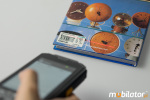Industrial Data Collector MobiPad H9 v.15 - photo 7