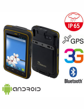 Industrial Winmate E430RM4